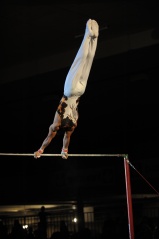 EDO Gala Joel Comte (497) EDO Gala Joel Comte (497)