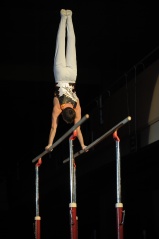 EDO Gala Joel Comte (226) EDO Gala Joel Comte (226)