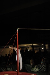 EDO Gala Joel Comte (505) EDO Gala Joel Comte (505)