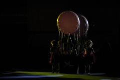 EDO Gala Joel Comte (524) EDO Gala Joel Comte (524)