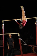 EDO Gala Joel Comte (465) EDO Gala Joel Comte (465)