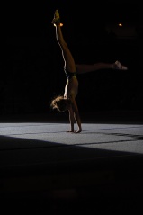 EDO Gala Joel Comte (433) EDO Gala Joel Comte (433)