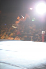 EDO Gala Joel Comte (150) EDO Gala Joel Comte (150)