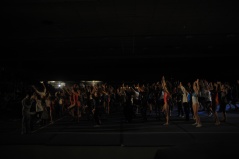 EDO Gala Joel Comte (830) EDO Gala Joel Comte (830)