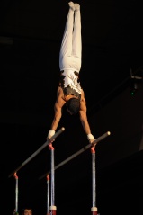 EDO Gala Joel Comte (140) EDO Gala Joel Comte (140)