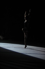 EDO Gala Joel Comte (734) EDO Gala Joel Comte (734)