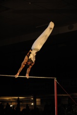 EDO Gala Joel Comte (495) EDO Gala Joel Comte (495)