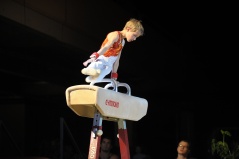 EDO Gala Joel Comte (646) EDO Gala Joel Comte (646)