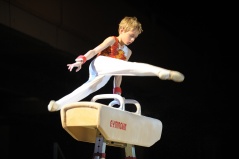 EDO Gala Joel Comte (645) EDO Gala Joel Comte (645)