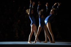 EDO Gala Joel Comte (99) EDO Gala Joel Comte (99)