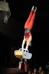 EDO Gala Joel Comte (250) EDO Gala Joel Comte (250)