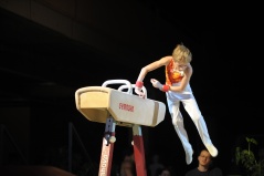 EDO Gala Joel Comte (647) EDO Gala Joel Comte (647)