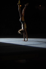 EDO Gala Joel Comte (432) EDO Gala Joel Comte (432)