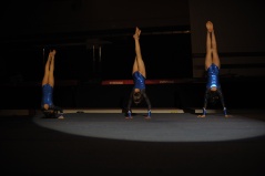 EDO Gala Joel Comte (569) EDO Gala Joel Comte (569)