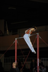 EDO Gala Joel Comte (589) EDO Gala Joel Comte (589)