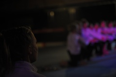 EDO Gala Joel Comte (290) EDO Gala Joel Comte (290)