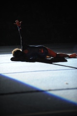 EDO Gala Joel Comte (217) EDO Gala Joel Comte (217)