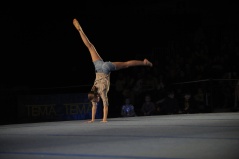 EDO Gala Joel Comte (66) EDO Gala Joel Comte (66)