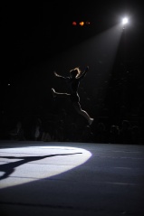 EDO Gala Joel Comte (737) EDO Gala Joel Comte (737)