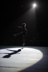 EDO Gala Joel Comte (736) EDO Gala Joel Comte (736)