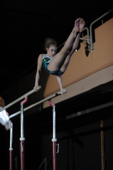 EDO Gala Joel Comte (724) EDO Gala Joel Comte (724)