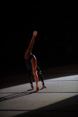 EDO Gala Joel Comte (244) EDO Gala Joel Comte (244)