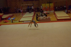 IMGP6185