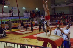 IMGP6194