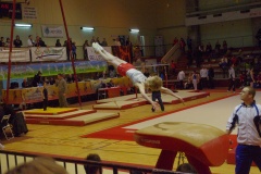 IMGP6207