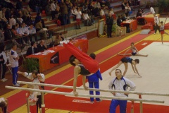 IMGP6236