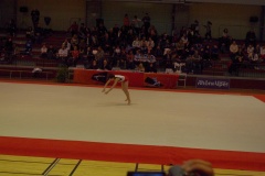 IMGP6348