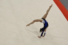 DSD_0561R