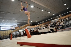 DSD_1309R