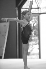 DSC_2294 DSC_2294