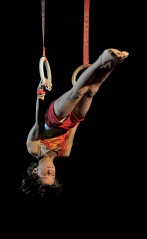 EDO Gala Joel Comte (53) EDO Gala Joel Comte (53)