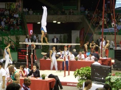 101_0247.JPG 101_0247.JPG