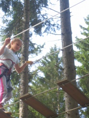 IMG_0206.JPG IMG_0206.JPG