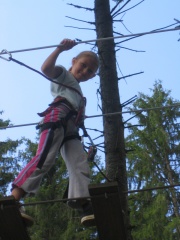 IMG_0207.JPG IMG_0207.JPG