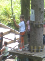 IMG_0220.JPG IMG_0220.JPG