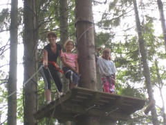 IMG_0244.JPG IMG_0244.JPG