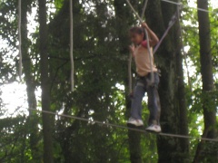 IMG_0248.JPG IMG_0248.JPG