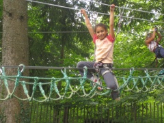 IMG_0262.JPG IMG_0262.JPG