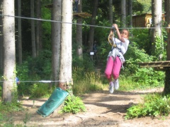 IMG_0274.JPG IMG_0274.JPG