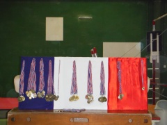 Challenges 2016 (3) Challenges 2016 (3)