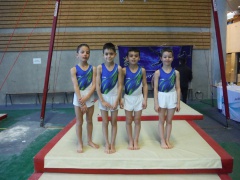 CF GAM (2) CF GAM (2)