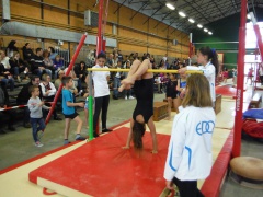 DSCF5437