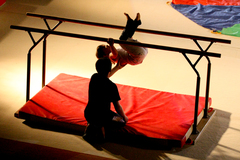 image0137.jpg image0137.jpg