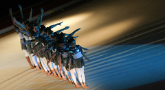 image0245.jpg image0245.jpg