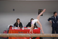 DSC00103.JPG