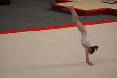 DSC00137.JPG